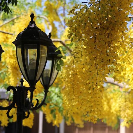 La Casita De Fraida Daire Guadalajara Dış mekan fotoğraf