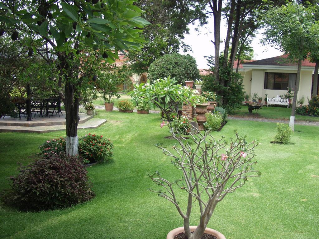 La Casita De Fraida Daire Guadalajara Dış mekan fotoğraf