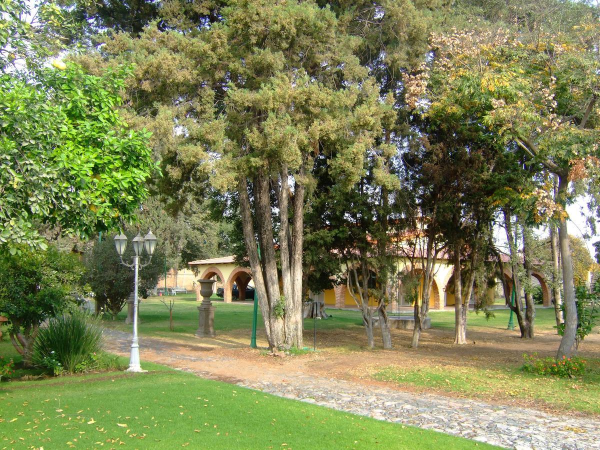 La Casita De Fraida Daire Guadalajara Dış mekan fotoğraf