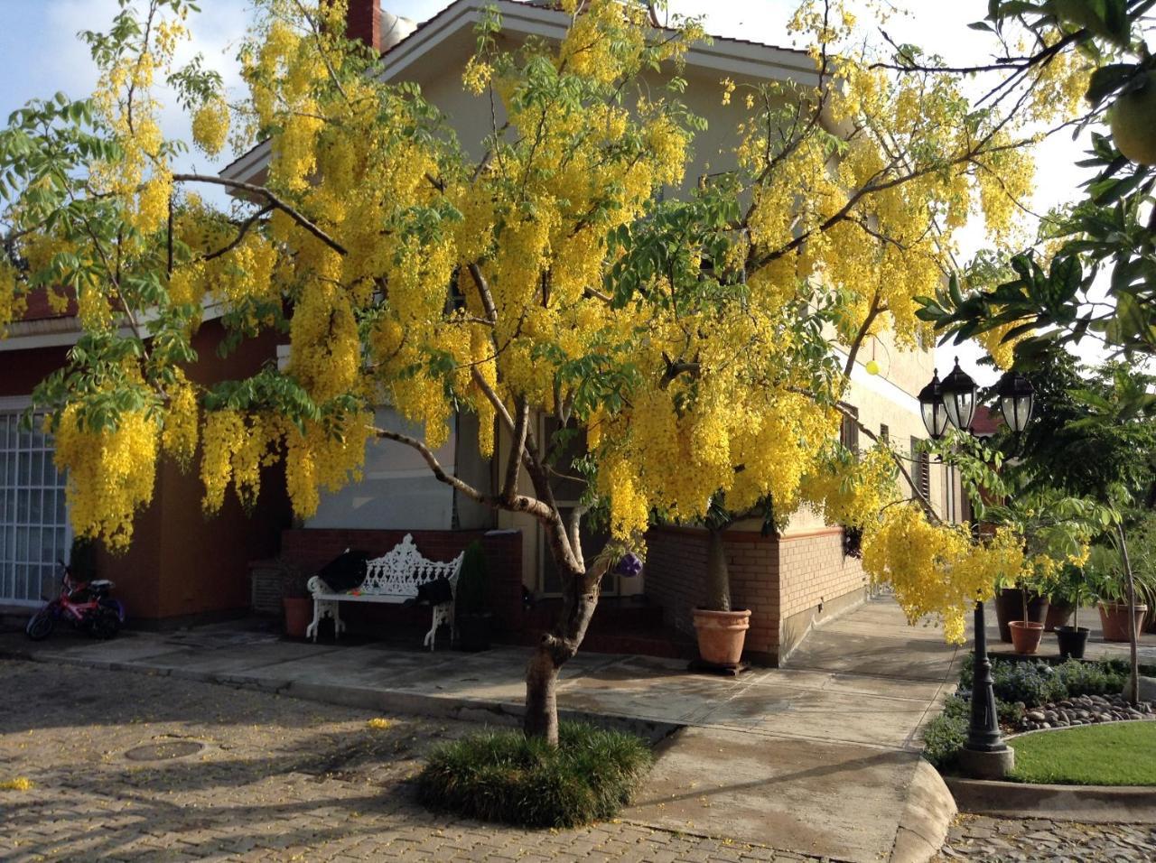 La Casita De Fraida Daire Guadalajara Dış mekan fotoğraf